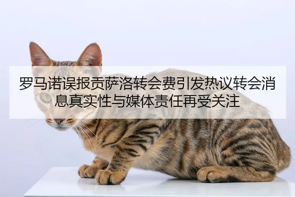 罗马诺误报贡萨洛转会费引发热议转会消息真实性与媒体责任再受关注